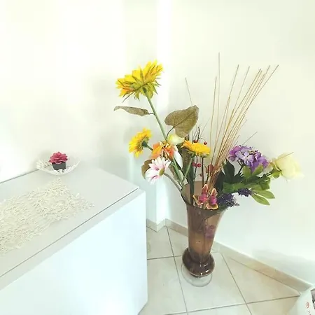 Apartment Casa Sofia